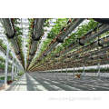 Multi-span Agricultural Galvanized Greenhouse Frame